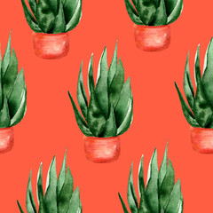 Indoor succulents on red background watercolor seamless pattern. Template for decorating designs and illustrations.