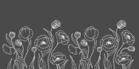 Wall Mural - Drawing flowers. Poppy flower clip art or illustration. White line on gray background .