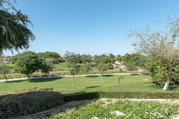 Sticker - Green trees under the clear sky in Safari Park (Dubai Zoo)