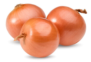 onion isolated on white background. full depth of field. clipping path