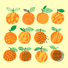 Wall Mural - Vector orange set illustration. Hand drawn orange summer collection. Citrus design