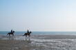 © Denis - horses galloping by the sea