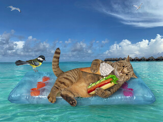 Canvas Print - A gray cat with a hot dog and a cone of ice cream rests on a blue air bed in the sea in the Maldives.