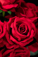 Vertical Shot Of A Bouquet Of Red Artificial Roses Under The Lights