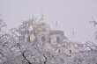 Snow-covered winter branches of trees during a snowfall in the background of the domes of an Orthodox church. Veliky Novgorod, Russia. Sophia Cathedral 