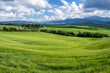 Wall Mural - Farmland in Val d'Orcia Tuscany