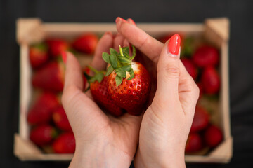 Wall Mural - female hand with red nails big red strawberries with green tails