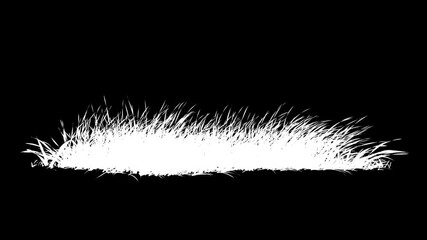 Wall Mural - grass wind loop with alpha channel. easy to use and change color you can place on footage or backgro