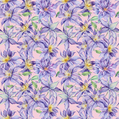  Watercolor violet flowers on isolated background, botanical painting. Seamless pattern Clematis 