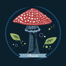 Fly Agaric Hand Drawn Art In Graphic Silhouette Style. Amanita Muscaria On The Dark Background For Printing Or Design Works.
