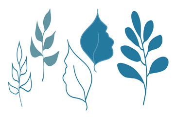 Set of blue leaves isolated on white background. Botanical elements for design. Hand drawn illustration.