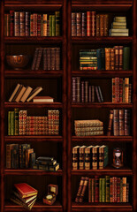 Wall Mural - Bookcase	
