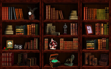 Wall Mural - Bookcase	
