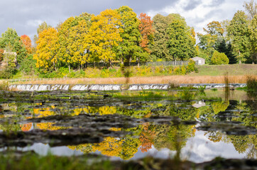 Sticker - Colorful reflections of autumn trees at Venta waterfall, Kuldiga, Latvia