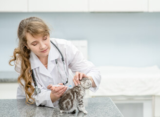 Sticker - Veterinarian vaccinates a kitten in the clinic. Empty space for text