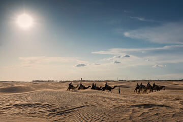 Wall Mural - a caravan of people on camels in the backlight of the sun moves