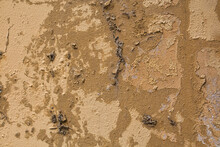 Closeup Of Weathered Beige Paint On The Concrete Wall