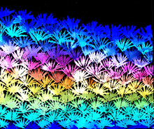 Abstract Neon Pattern On A Dark Background Multicolored Twigs With A Glow. Blue, Light Blue, Pink, Yellow, Lime, Orange, Black Colors
