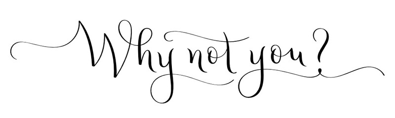 Sticker - WHY NOT YOU? black vector brush calligraphy banner with flourishes isolated on white background