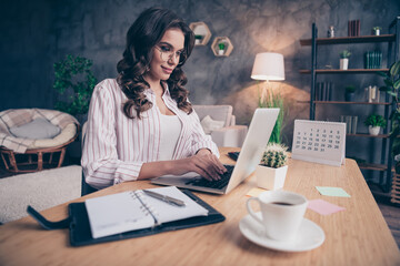 Wall Mural - Profile side photo of young attractive business woman happy positive smile browse internet chatting typing report laptop home