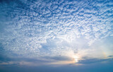 Fototapeta Psy - Sky background with low sun and cirrocumulus clouds