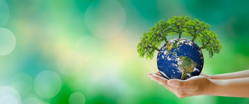 Wall Mural -  - Growing tree on Planet Earth in hand. Green background with bokeh. World mental health and World earth day. Elements furnished by NASA. Saving environment and World Ecology Concept.