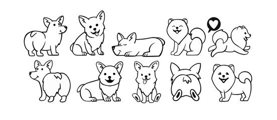  Dogs corgi and spitz big set. Cute dogs in different poses in line