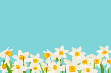 Canvas Print - Narcissus Natural Background Template Vector Illustration