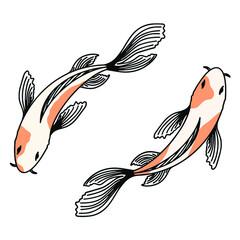 Koi