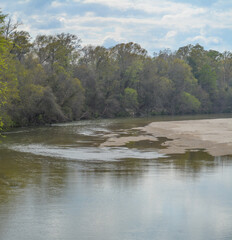 Wall Mural - The Homochitto River flowing peacefully through the forest in Franklin County, Mississippi