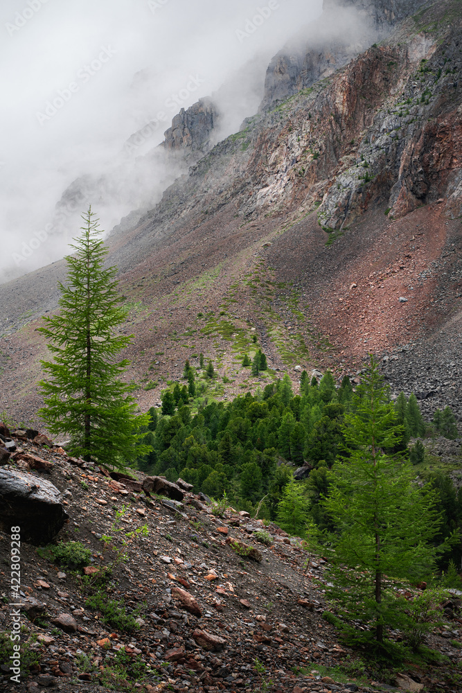 Beautiful alpine landscape with rocky mountain slopes in the fog and ...