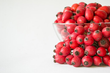 Rose-hips or wild rose berries isolated on a white background.