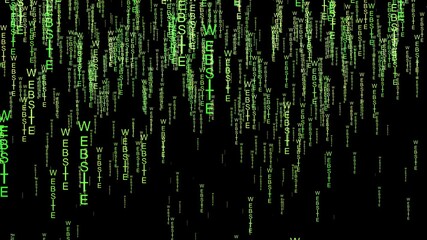 website data code on the web