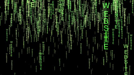 website data code on the web