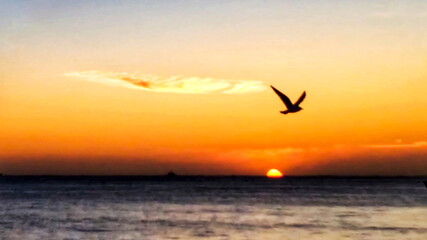 Tagus River at sunset in Lisbon