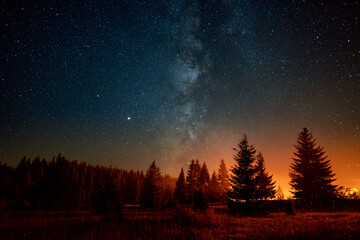 night sky with the milky way over the forest