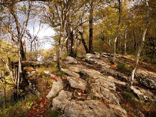 Wall Mural - autumn mountain landscape in sochi