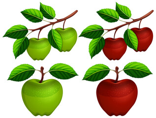 Sticker - Set of apple with leaves