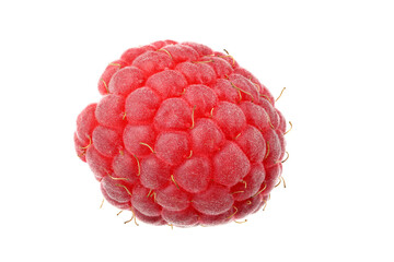 Canvas Print - Raspberry isolated on white. Very detailed