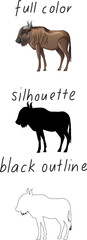 Wall Mural - Set of bull in color, silhouette and black outline on white background