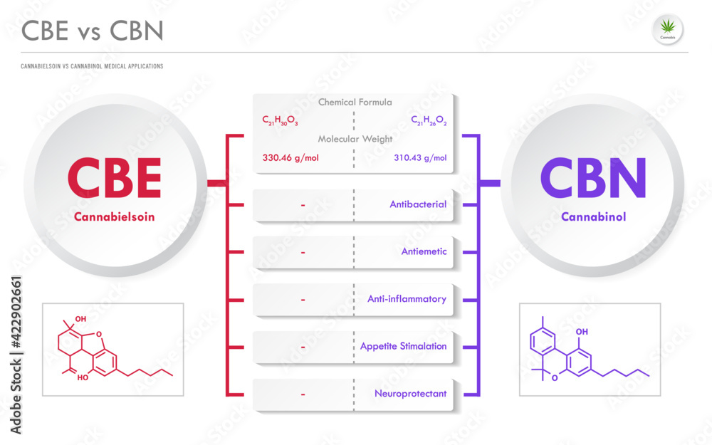cbe-vs-cbn-cannabielsoin-vs-cannabinol-horizontal-business-infographic