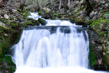 A waterfall in a forest with long exposure time