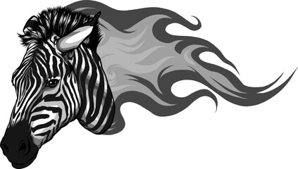 Poster - zebra head with flames Vector illustration design