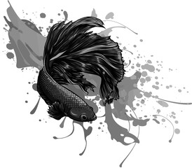 Sticker - Colorful Betta Fish with water splash Vector Illustration.