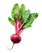 Single young beetroot on white backgrounds.