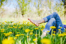 Relaxing Girl Lying On The Spring Blooming Meadow