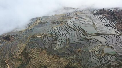 Poster - beautiful yunyang hani rice terraces in cloud fog,  aerial video of yunnan landscape, China.