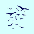 bird fly in formation simple design