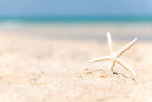 Closeup Starfish On The Sand Beach Background Blue Sky. Summer And Travel Concept.