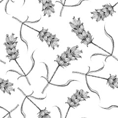 Lavender line art seamless vector pattern background. Monochrome black and white backdrop with blossoms on stems, leaves. Botanical herb vintage design. Nature meadow garden all over print for summer